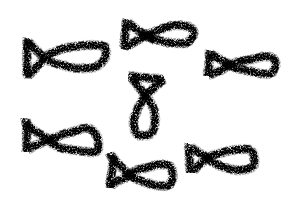 there are maybe even seven fish